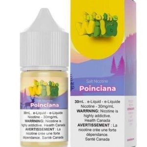 Into The Wild - Poinciana (Việt Quất &Mâm Xôi & Dâu) Salt Nicotine 30ml