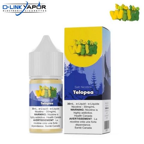 Into The Wild - Telopea (Dưa Hấu & Dưa Gang & Đào) Salt Nicotine 30ml