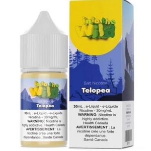 Into The Wild - Telopea (Dưa Hấu & Dưa Gang & Đào) Salt Nicotine 30ml