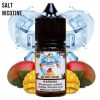 Summer - SN Ice King Mango 30ml